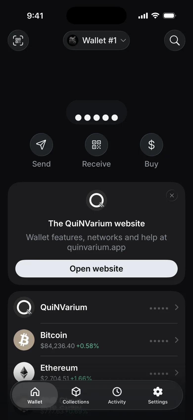 QuiNVarium Wallet home screen